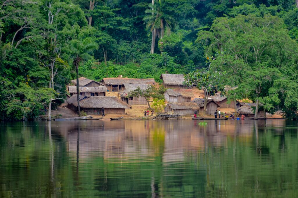 Rainforest Experiences –  The Amazon vs. The Congo